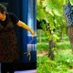 enoculturat-2018-mas-comtal-blog