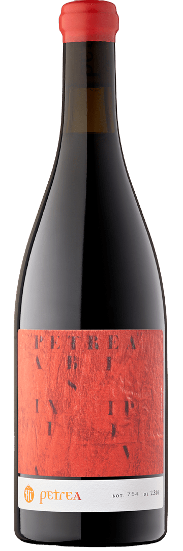 petrea-merlot-vins-mas-comtal