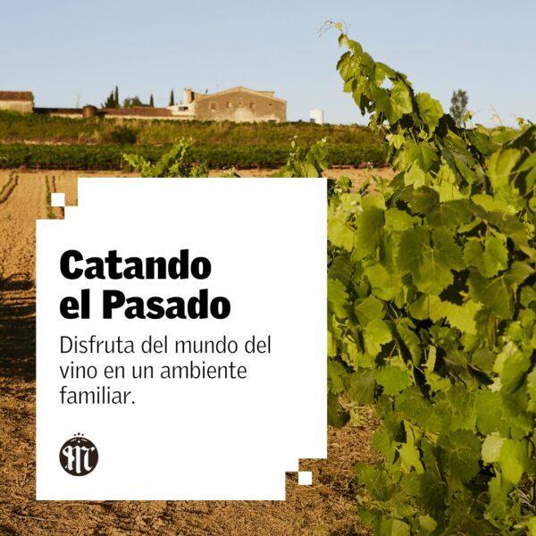 disfruta del mundo del vino en un ambiente familiar