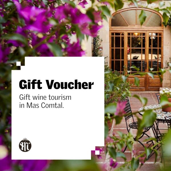 gift-wine-tourism-in-mas-comtal