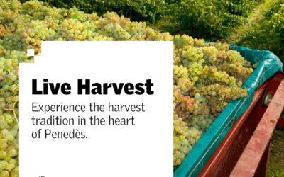 Live Harvest