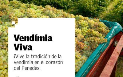 Vendimia Viva