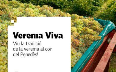 Verema Viva