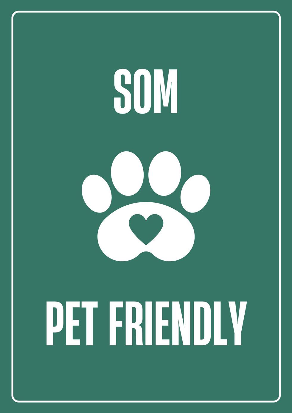 Mas Comtal's Wine Bar is Pet Friendly