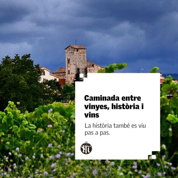 Un paseo entre viñedos, historia y vinos